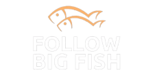Follow Big Fish